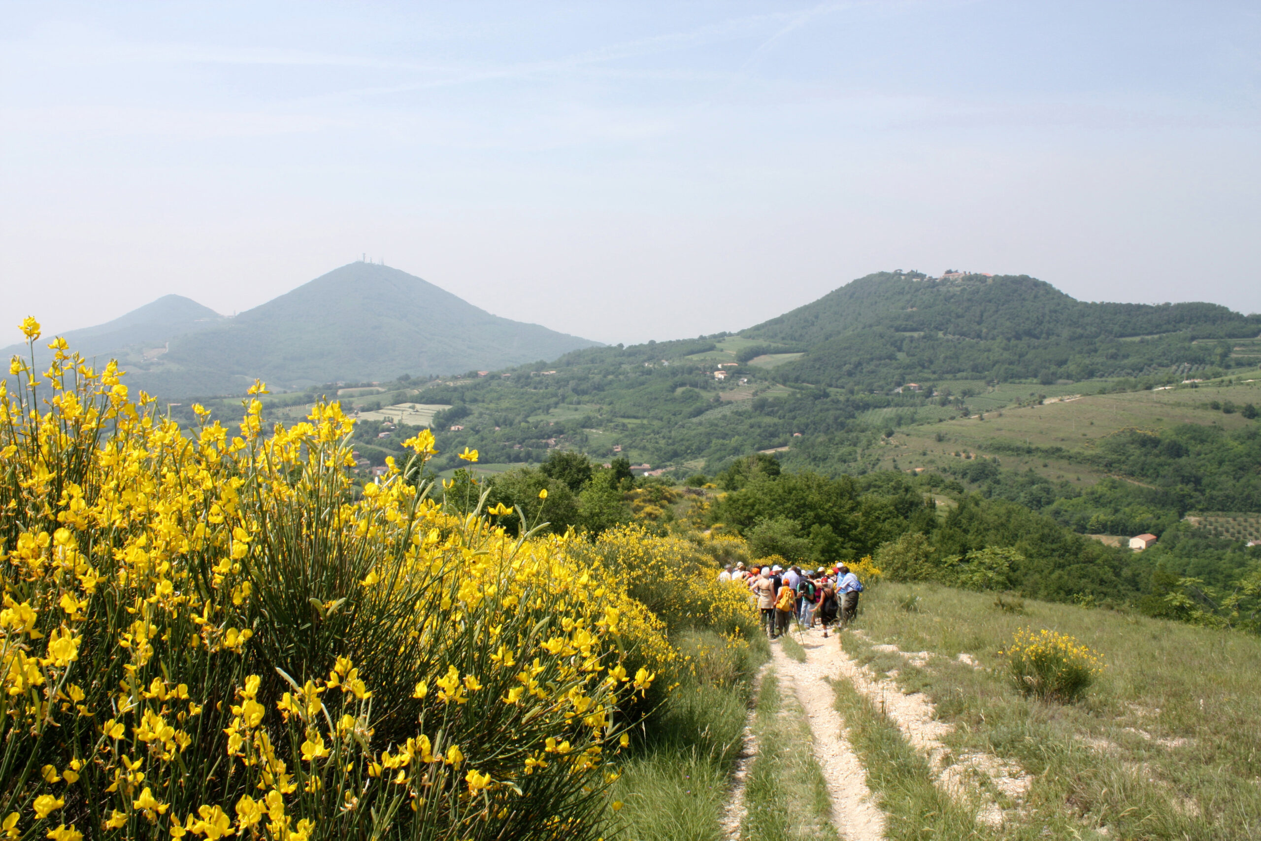 Galleria panoramica