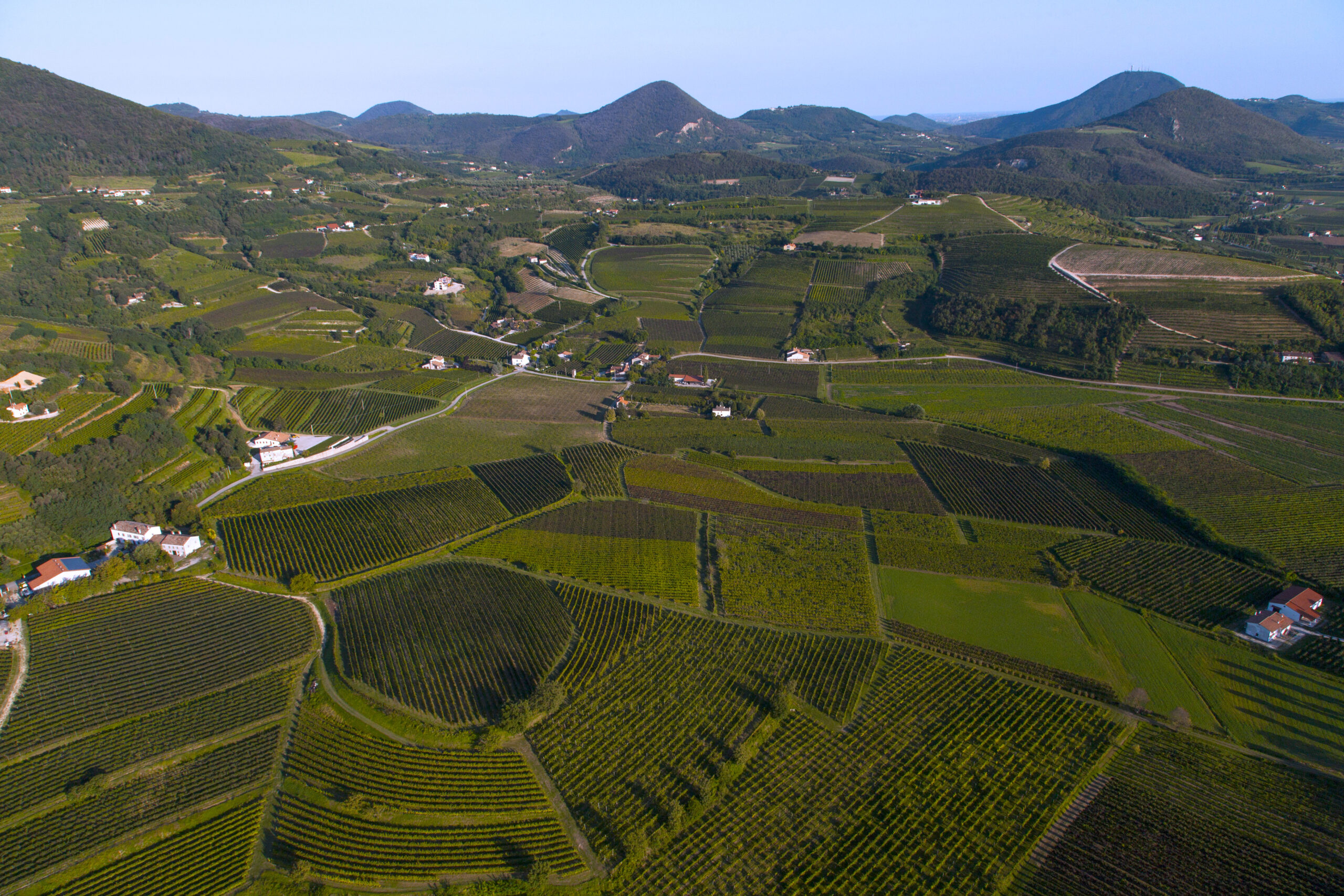 Galleria panoramica
