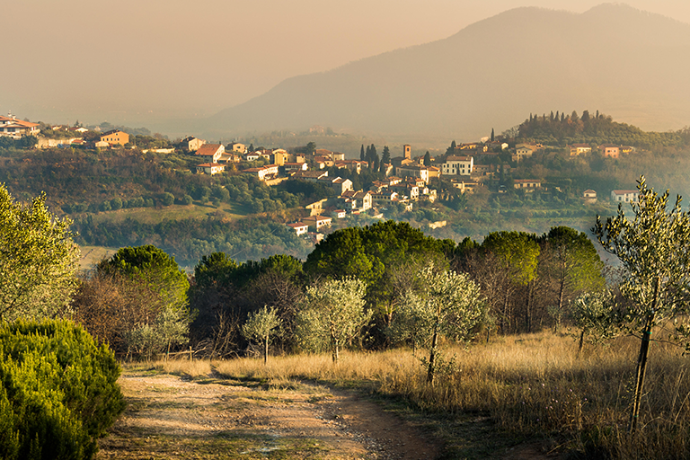 Galleria panoramica