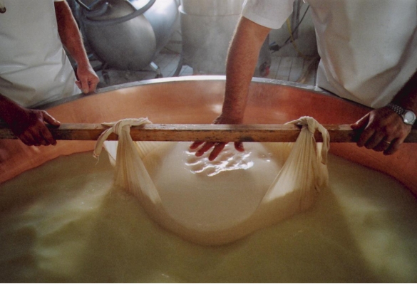 Img Gastronomia