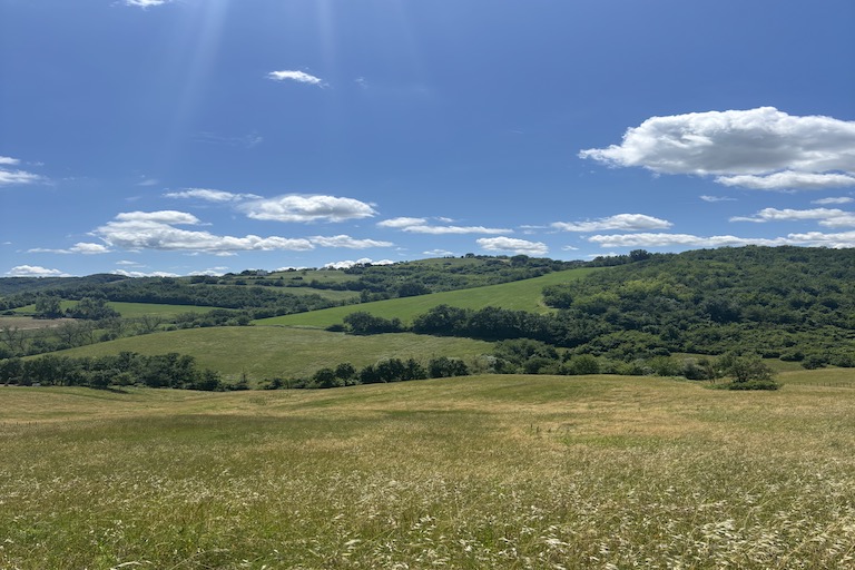 Galleria panoramica