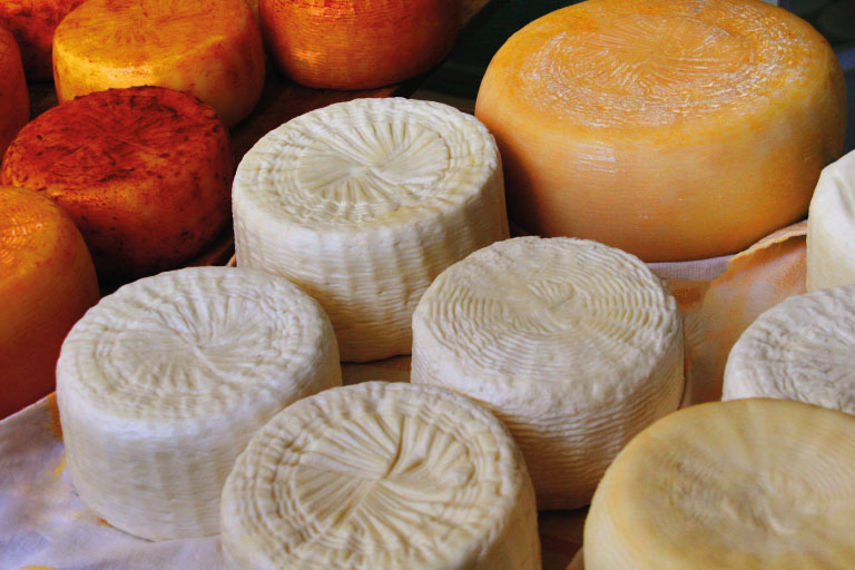 Img Gastronomia
