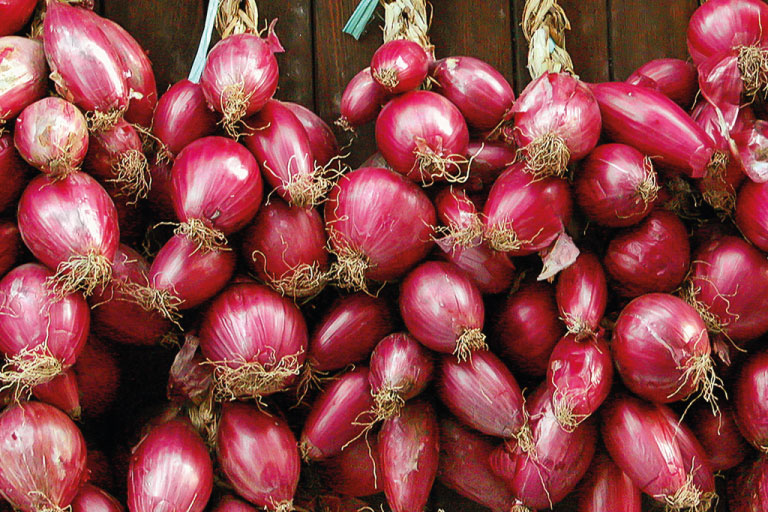Img Gastronomia