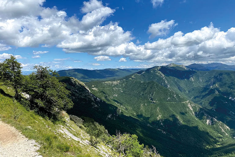 Galleria panoramica